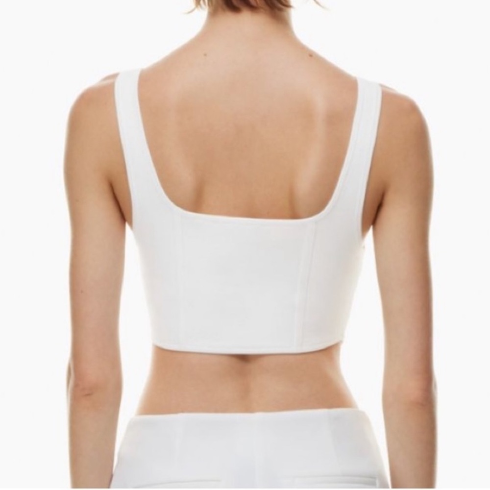 Aritzia Babaton Sculpt Knit Bustier Tank S - Picture 2 of 9